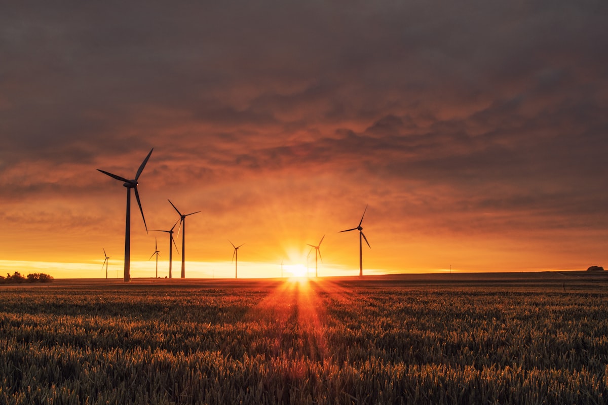 Net Zero – Setting a Credible Target